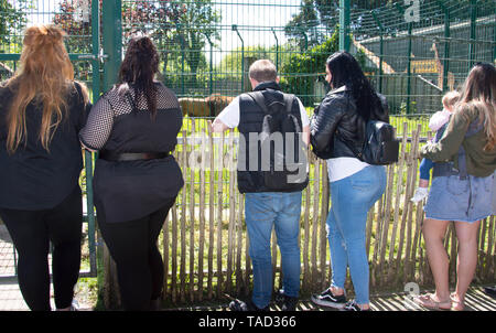 Les personnes en visite à Blackpool Zoo sur une journée chaude et ensoleillée Banque D'Images