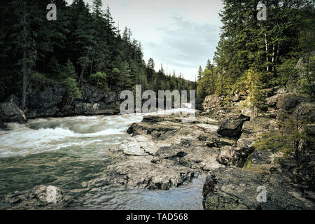 Rapides sur Avalanche Creek dans le parc national des Glaciers Banque D'Images