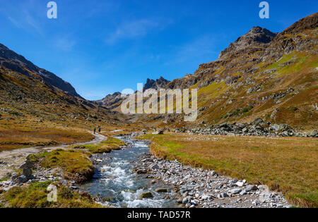 Autriche, Vorarlberg, Silvretta, Klostertal, ruisseau de montagne Banque D'Images