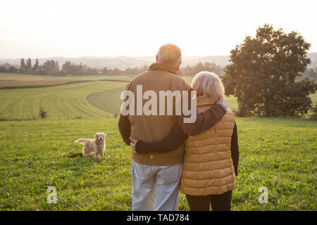 Vue arrière de happy senior couple standing arm in arm sur une prairie bénéficiant d'coucher du soleil Banque D'Images