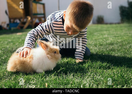 Petit garçon de flatter un bunny in garden Banque D'Images