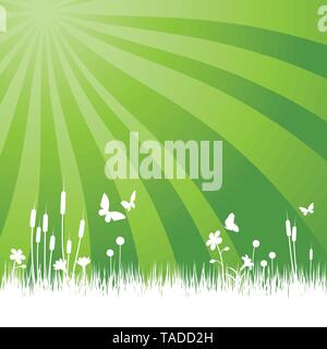 Arrière-plan de jardin avec prairie, fleurs et papillons vector illustration Illustration de Vecteur