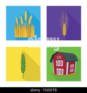 L'orge de printemps,grenier,spike,bâtiment,or,mûrs,chalet,pain,vert,immobiliers,hiver,dur,industrie,terrain,farine,automne,maïs,graines,Culture,son,campagne,céréales,remise,blé,maïs,grain,récolte,ferme,terrain,agriculture,agriculture,seigle,plantes,,set,icône,,illustration,collection,isolé,design,graphisme,élément signe,télévision,ombre,vecteurs vecteur , Illustration de Vecteur