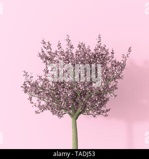 Rendu 3D, Blossoming cherry tree Banque D'Images