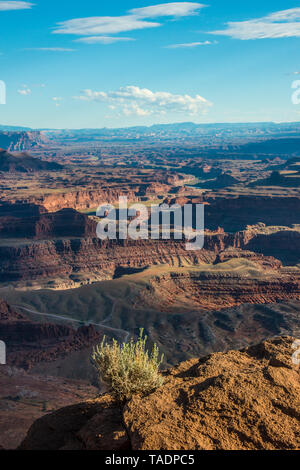 USA, Dead Horse Point State Park, sur le Canyonlands et donnent sur la rivière Colorado Banque D'Images