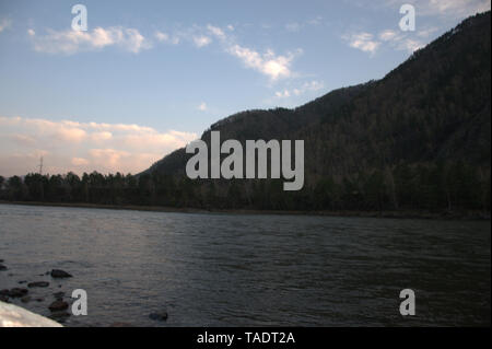 Rivière de montagne, Katun transportant ses eaux turquoises, tourné au coucher du soleil. L'Altaï, Sibérie, Russie