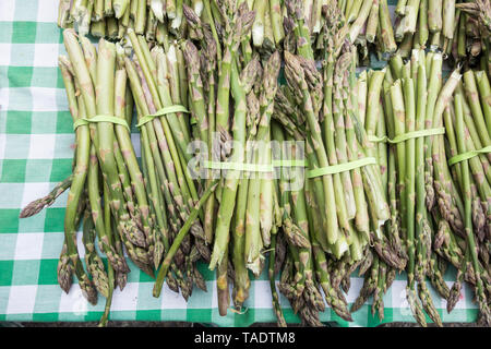 Anglais d'asperge sur une nappe à carreaux blancs et verts Banque D'Images