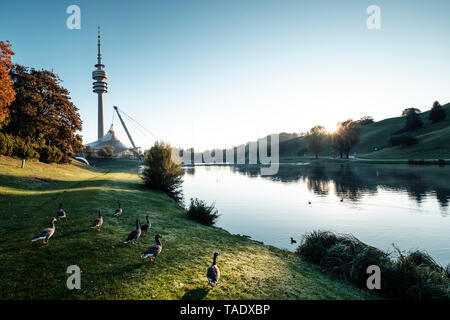 Allemagne, Munich, le Parc Olympique et le lac olympique contre le soleil du matin Banque D'Images