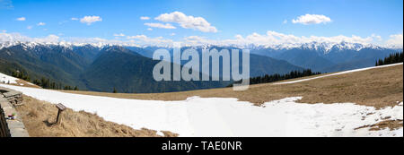 Hurricane Ridge, Olympic National Park, Washington Banque D'Images