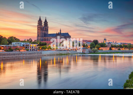 Magdeburg, Allemagne. Cityscape image de Magdeburg, Allemagne avec la réflexion de la ville sur le fleuve Elbe, au coucher du soleil. Banque D'Images