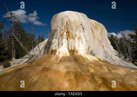 Printemps Orange Mound, le Parc National de Yellowstone, Wyoming, USA Banque D'Images