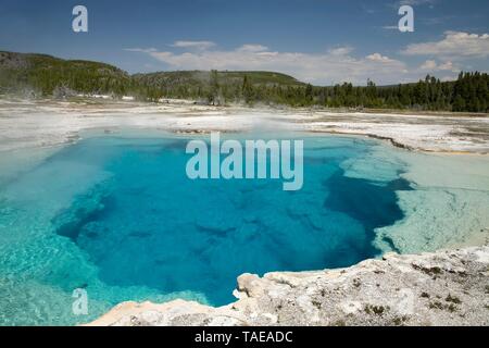 Piscine Saphir, le Parc National de Yellowstone, Wyoming, USA Banque D'Images