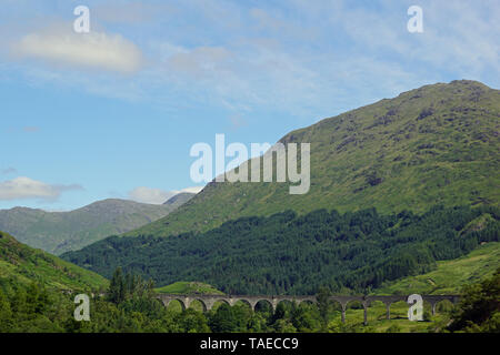 Le Glenfinnan Monument est situé sur les rives du Loch Shiel. Il a été construit en 1815 pour marquer la place où, en 1745, la norme du Prince Charles Banque D'Images