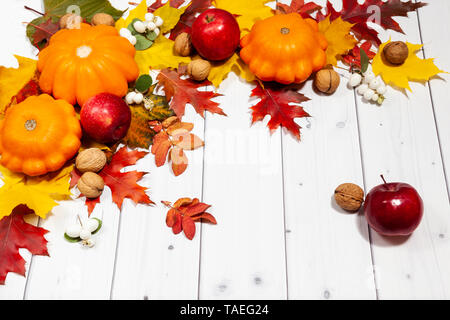 Automne arrière-plan lumineux horizontal avec orange citrouilles et pommes rouges, noix, feuilles vertes et jaunes et écharpe, allongée sur le bureau blanc bois ornée d'emp Banque D'Images