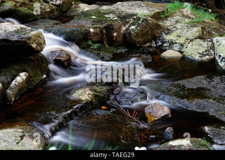 Le ruisseau de montagne dans la région de Wicklow, Irlande) Banque D'Images