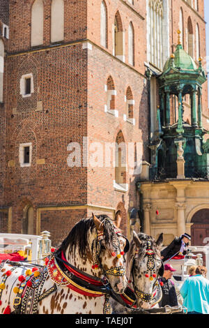 Portriats de chevaux sur la place principale de Cracovie Pologne Banque D'Images