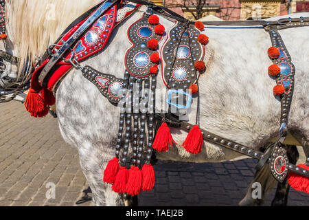 Portriats de chevaux sur la place principale de Cracovie Pologne Banque D'Images