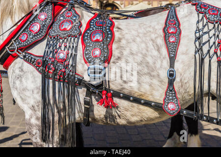 Portriats de chevaux sur la place principale de Cracovie Pologne Banque D'Images