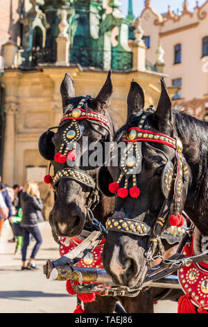 Portriats de chevaux sur la place principale de Cracovie Pologne Banque D'Images