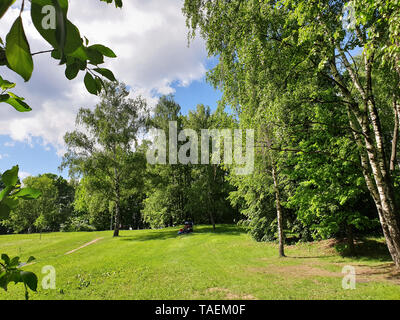 Mitino parc paysager. Belle journée chaude en Mai ( Mitino - banlieue de Moscou ) Banque D'Images