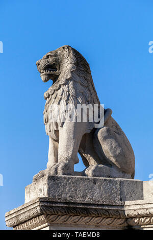 Statue de lion en pierre à Budapest, Hongrie, vue de dessous Banque D'Images