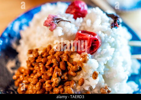 La plaque plat japonais traditionnels dans le restaurant ou à la maison avec, et salées umeboshi fleurs sakura et fermentée Natto soja on pile du riz Banque D'Images