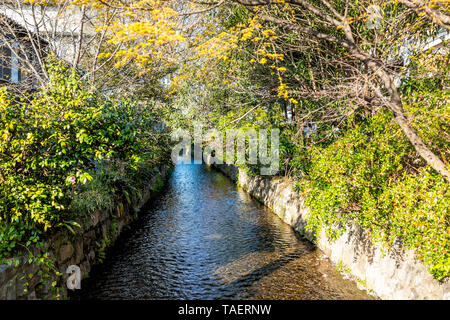 Quartier résidentiel de Kyoto au printemps avec l'eau du canal de la rivière Takase en avril au Japon sur la journée ensoleillée avec des arbres verts Banque D'Images