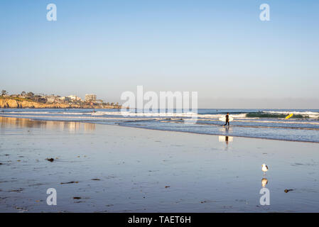 La Jolla Shores Beach sur un mai au matin. La Jolla, Californie, USA. Banque D'Images