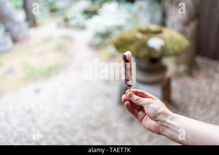 Jardin japonais traditionnel hand of man holding anko dango mochi sucré dessert riz sur broche avec en arrière-plan de la lanterne de pierre Banque D'Images