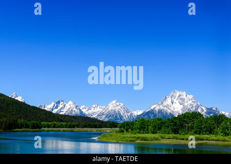 Mt. Moran et la rivière Snake dans le Grand Teton National Park près de Jackson Hole, Wyoming USA. Banque D'Images