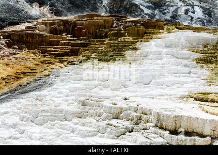 Des formations de roche calcaire à Mammoth Hot Springs dans le Parc National de Yellowstone dans le Wyoming aux États-Unis. Banque D'Images