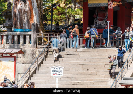 Nikko, Japon - 5 Avril 2019 : entrée du temple Toshogu Yomeimon gate dans la préfecture de Tochigi au printemps avec beaucoup de gens à pied sur les mesures par les touristes Banque D'Images