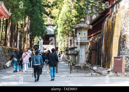 Nikko, Japon - 5 Avril, 2019 : temple Toshogu chemin d'entrée en Syrie au printemps avec de nombreuses personnes de la lanterne de pierre de marche par les touristes Banque D'Images