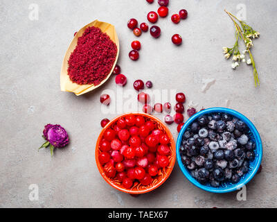 Bleuets congelés, Viburnum, canneberge dans des bols, décorés de fleurs, feuillages, sec et riche en vitamines antioxydant resvératrol alimentaire Banque D'Images