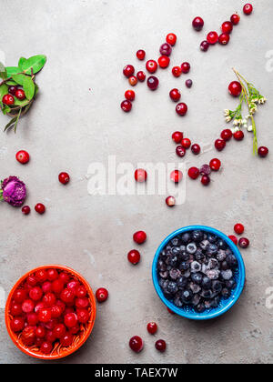 Bleuets congelés, Viburnum, canneberge dans des bols, décorés de fleurs, feuillages, sec et riche en vitamines antioxydant resvératrol alimentaire Banque D'Images