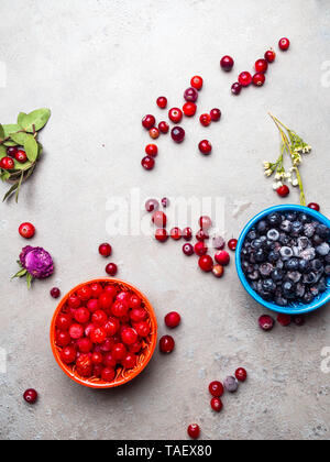 Bleuets congelés, Viburnum, canneberge dans des bols, décorés de fleurs, feuillages, sec et riche en vitamines antioxydant resvératrol alimentaire Banque D'Images