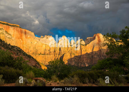 USA, Utah, Zion National Park, tôt le matin, la lumière du soleil qui brille sur les hautes falaises Banque D'Images