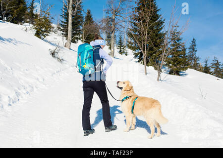 Allemagne, forêt de Bavière, Lusen, femme avec chien randonnées en hiver Banque D'Images