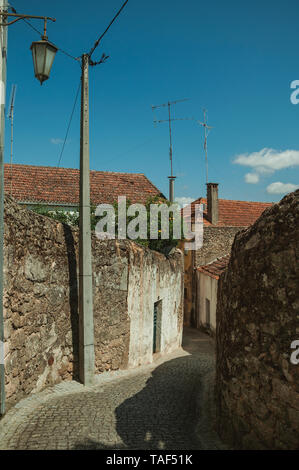 Ruelle déserte avec murs en plâtre usés en face de maisons anciennes et d'orange tree à Belmonte. Naissance de l'découvreur Pedro Cabral au Portugal. Banque D'Images