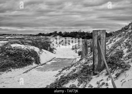 Une voie avec poteaux de bois et une corde le long du rail, plage d'Asilomar Californie Monterey en noir et blanc. Banque D'Images