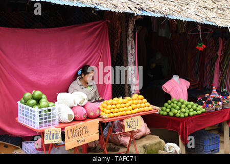 Femme Hmong vente de fruits à la montagne vue de mon Cham, la province de Chiang Mai, Thaïlande Banque D'Images