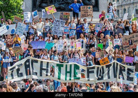 Londres, Royaume-Uni. 24 mai, 2019. Dans Trafalgar Sqaure au pied de Nelsons Column - les enfants et les jeunes de l'école rendez-vous sur strke une fois de plus pour réclamer des mesures sur le changement climatique et comment il peut affecter leur avenir. Ils se réunissent à la place du Parlement et de Westminster ronde mars puis, s'arrêtant à la Dept de l'Education, de Downing Street et Trafalgar Square. Crédit : Guy Bell/Alamy Live News Banque D'Images