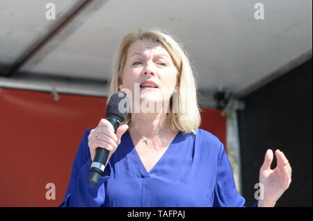 Vienne, Autriche. 25 mai, 2019. Finale de l'UE Rassemblement du Parti Social-démocrate de Vienne d'Autriche (SPÖ) le samedi, Mai 25, 2019 à la Viktor Adler à Vienne du marché. Photo montre SPÖ-EU-candidat Evelyn regner. Credit : Franz Perc / Alamy Live News Banque D'Images