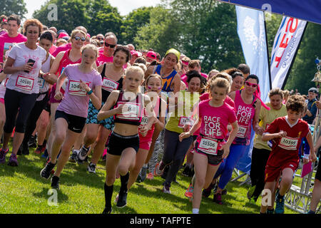 Brentwood Essex 25 mai 2019 Cancer UK Race for Life au Weald Country Park, Brentwood Essex Credit Ian Davidson/Alamy Live News Banque D'Images