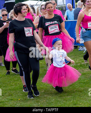 Brentwood Essex 25 mai 2019 Cancer UK Race for Life au Weald Country Park, Brentwood Essex Credit Ian Davidson/Alamy Live News Banque D'Images