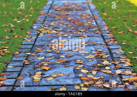 Automne - les feuilles mortes couvrant un jardin à l'automne Banque D'Images