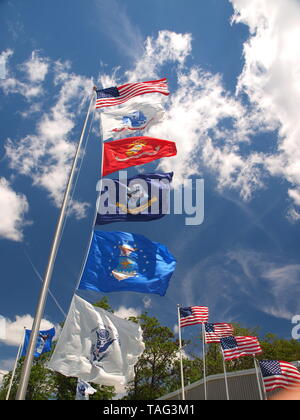 Drapeau américain sur poteau avec branches militaires de service ci-dessous. Banque D'Images