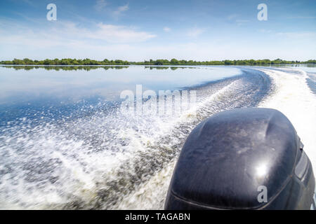 De beaux sentiers de l'eau Bateau à moteur dans le Delta du Danube, en Roumanie. Moteur hors-bord libre et trail de mousse sur l'eau. Banque D'Images