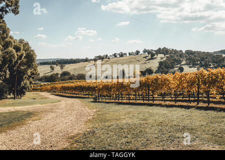 Scenic campagne australienne à Courabyra Vins, Tumbarumba EN IN Banque D'Images