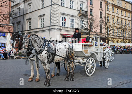 Les chevaux et le transport dans la vieille ville de Cracovie, en attendant de prendre les visiteurs à une visite de la ville. Banque D'Images